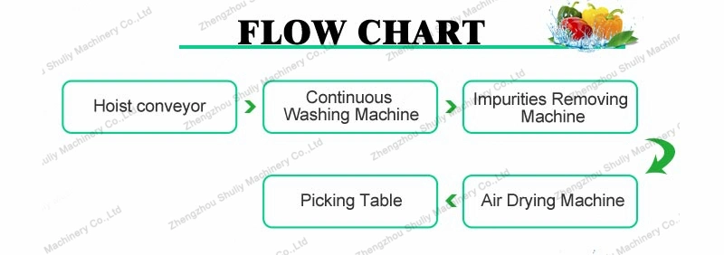 Hot Sale Washing Cleaning Drying Machine Line for Fruit and Vegetable