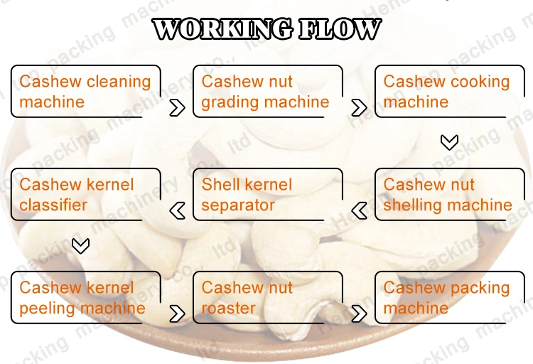 Cashew Nut Production Line Cashew Nut Making Machine Cashew Nut Processing Line From Amy