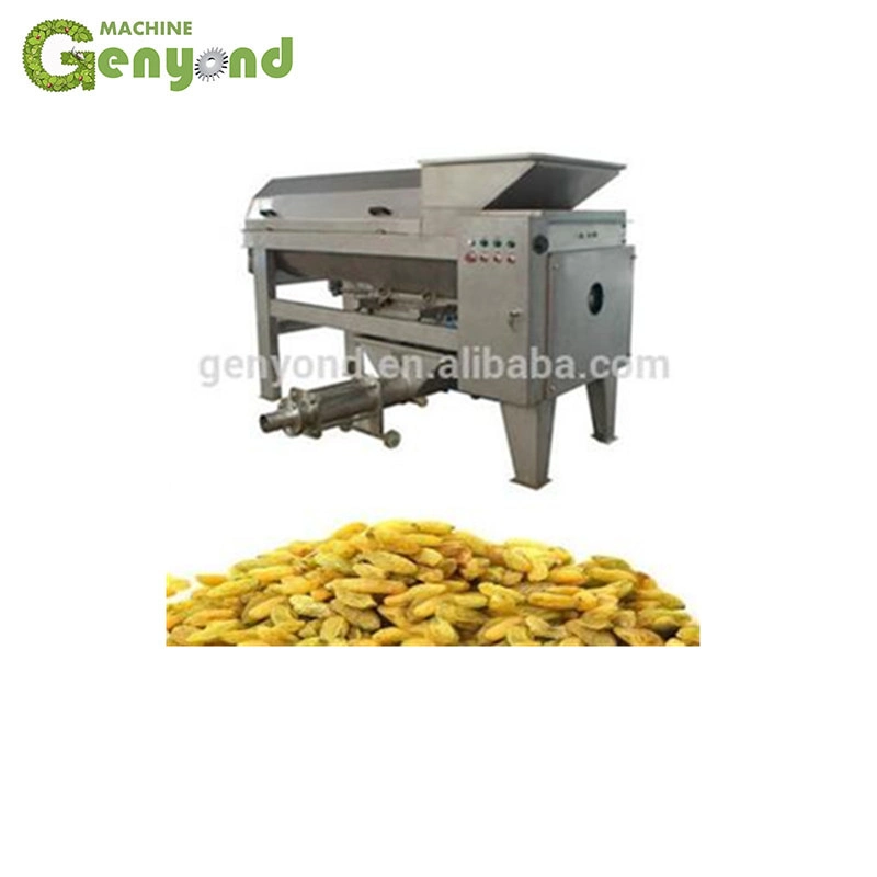 Automatic Raisin Cleaning Drying Line