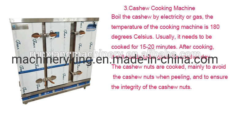 Raw Cashew Nut Processing Small Scale Machine Cashew Nut Sheller Production Line