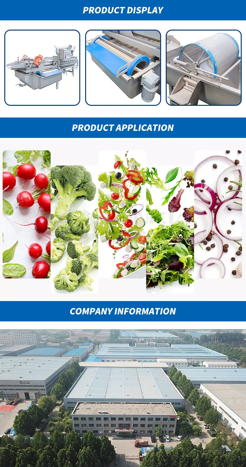 Fruit Cleaning, Waxing, Drying and Sorting Production Line