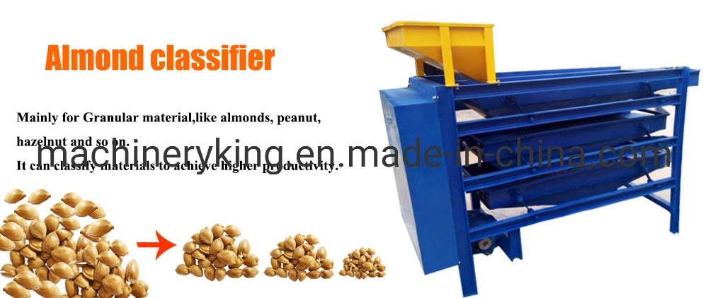 500kg Capacity Hazelnut Shell Cracker Almond Nut Cracking Sheller Processing Machine Line