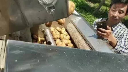 Automatische Maschine zur Herstellung von Kartoffelchips, Ausrüstung zur Herstellung von Pommes Frites, kontinuierliche Fritteusenmaschine