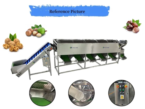 Sortiermaschine für Macadamia-Nüsse Walnuss-Sortiermaschine Macadamia-Nuss-Sortiermaschine Walnuss-Sortiermaschine Nussverarbeitungsausrüstung Kastaniensortierer Kastanien-Sortiermaschine